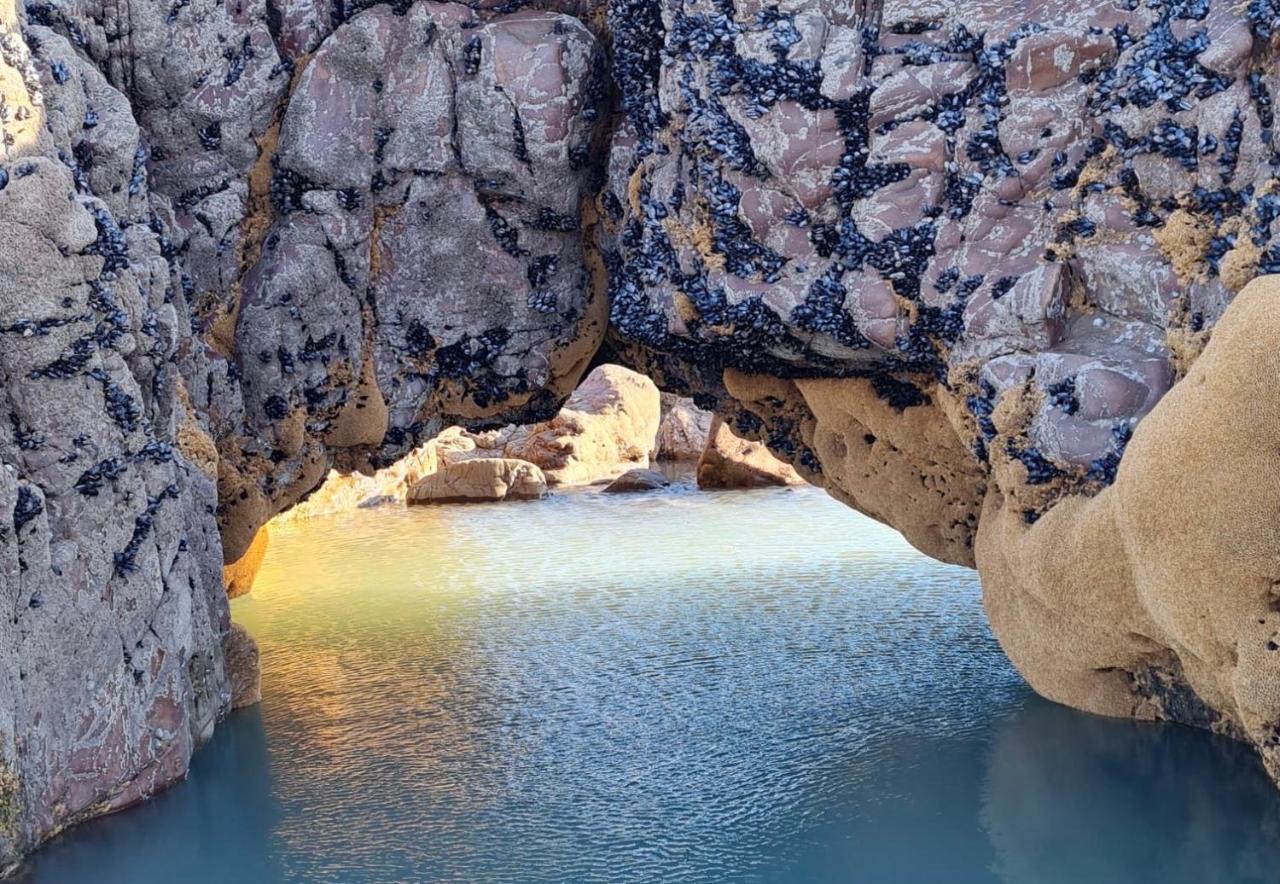 Rockpool - Bude Exterior photo